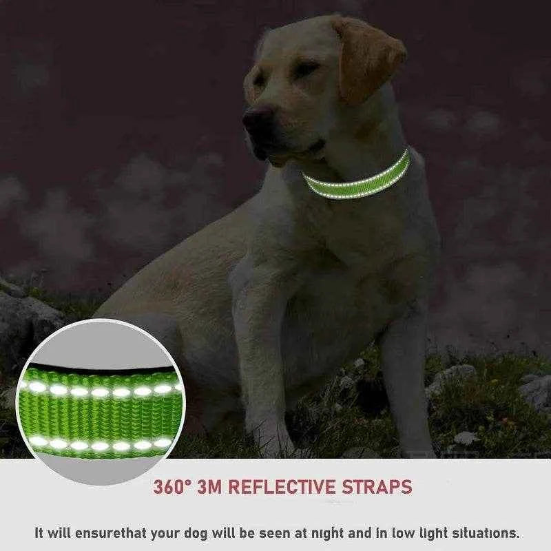 Choker Small Dog Collar Puppy Neck Collars for Dogs Big Decorative Dog Collar GXQ07