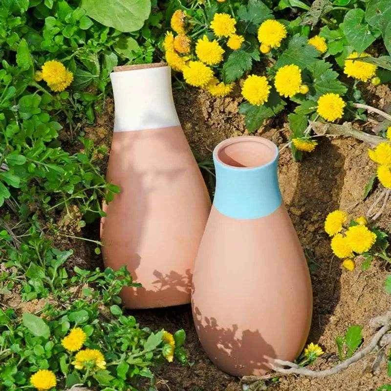 Jewelrieshub Terracotta Watering Spikes for Plants