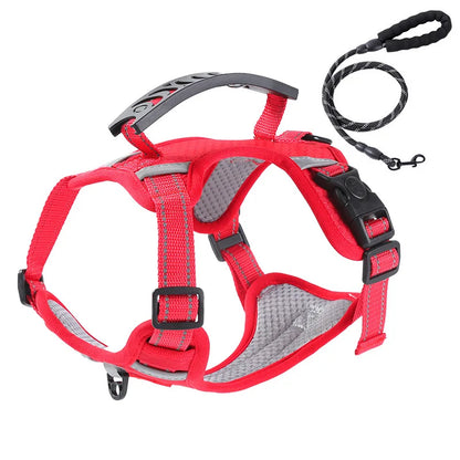 New Vest Walking Traction Rope Cat Harness with Reflective Strip Dog Collar Breathable Mesh Harness for Small Medium Pet Cat Dog