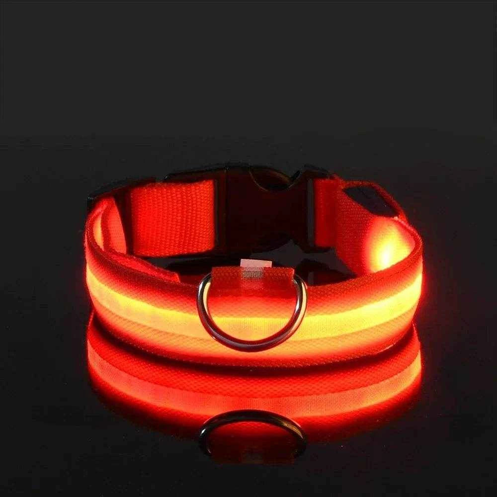 Dog Collar Nylon LED Night Safety Flashing Glow In The Dark Pet Dog Leash pet Dogs Luminous Fluorescent  dog accessories collar
