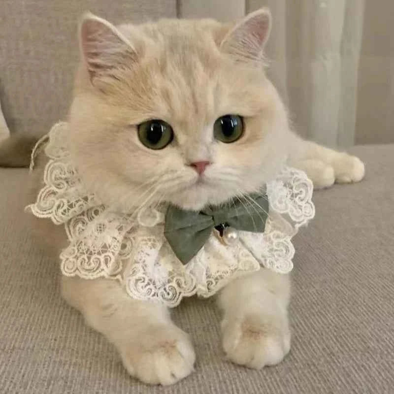 Cute Cat Bow Collar Lace Floral Aesthetic Cats Bowtie Collar Bow Tie Pet Bib for Indoor Cats Kitten and Small Dogs Puppies