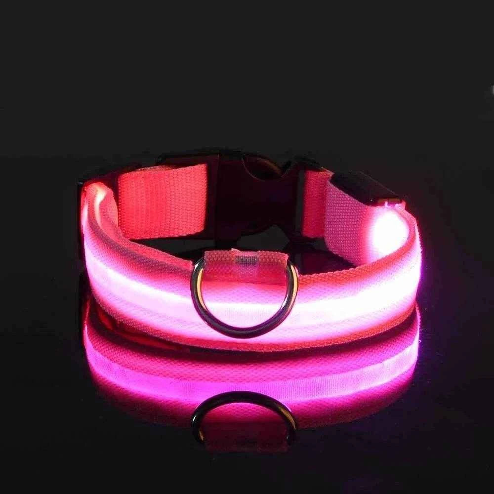 Dog Collar Nylon LED Night Safety Flashing Glow In The Dark Pet Dog Leash pet Dogs Luminous Fluorescent  dog accessories collar