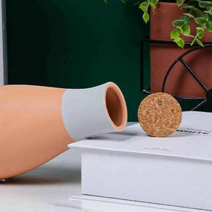 Jewelrieshub Terracotta Watering Spikes for Plants